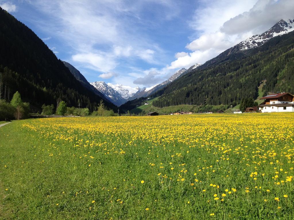 Pension Klampferer Neustift im Stubaital Pokój zdjęcie